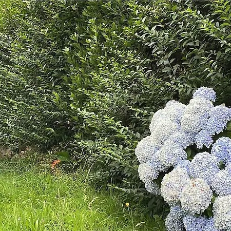 Casa El Nogal 샬레 *