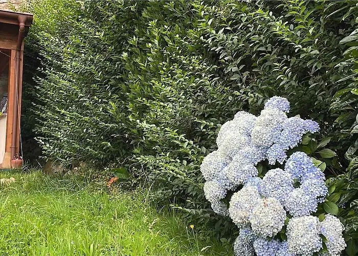 Casa El Nogal Dağ evi *