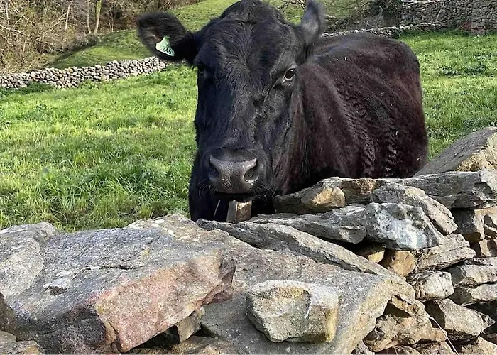 Casa El Nogal Los Pandos